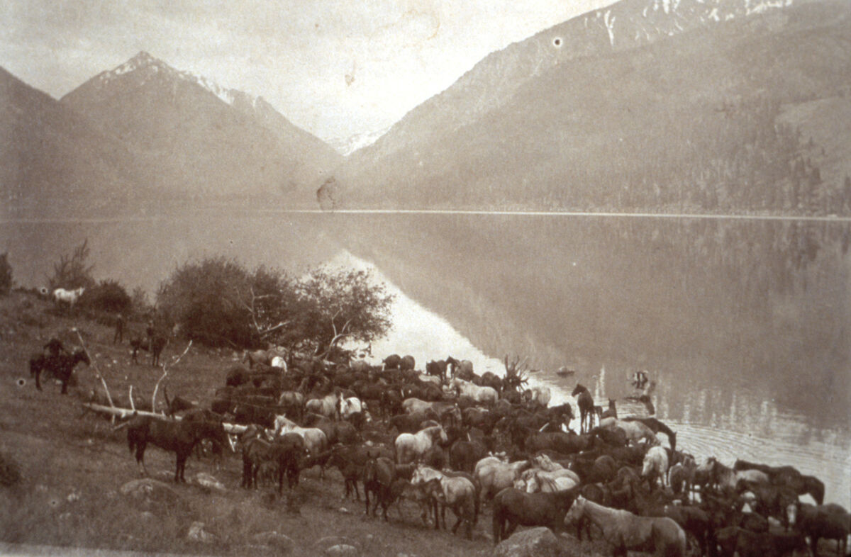 Herd of horses along Wallowa Lake, tended to by white settlers.