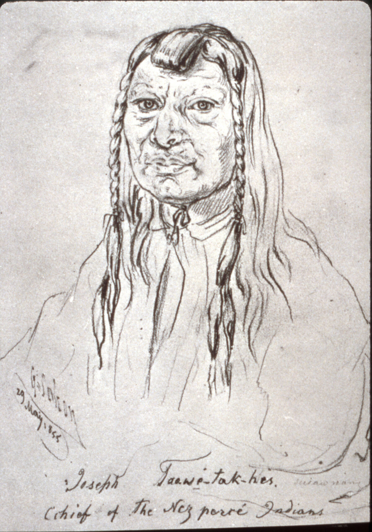 Drawing of Old Chief Joseph, Tuekekas, dated 29 May 1855.