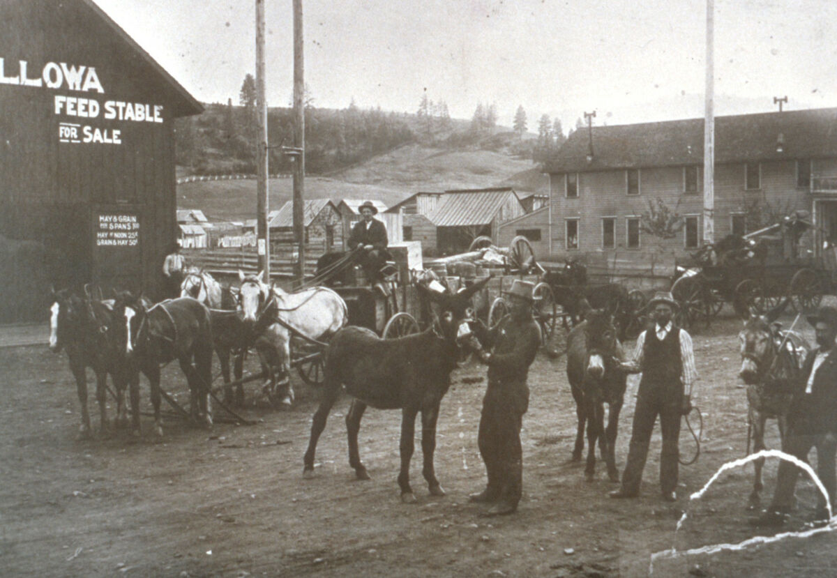 This is one of the few known photographs of Frank Vaughn (far right) taken at McElroy's stable in Wallowa, c. 1900. Vaughn, one of seven Wallowa County men implicated in the murder of 34 Chinese gold miners on the Snake River in 1887, turned state's evidence against the other six.
