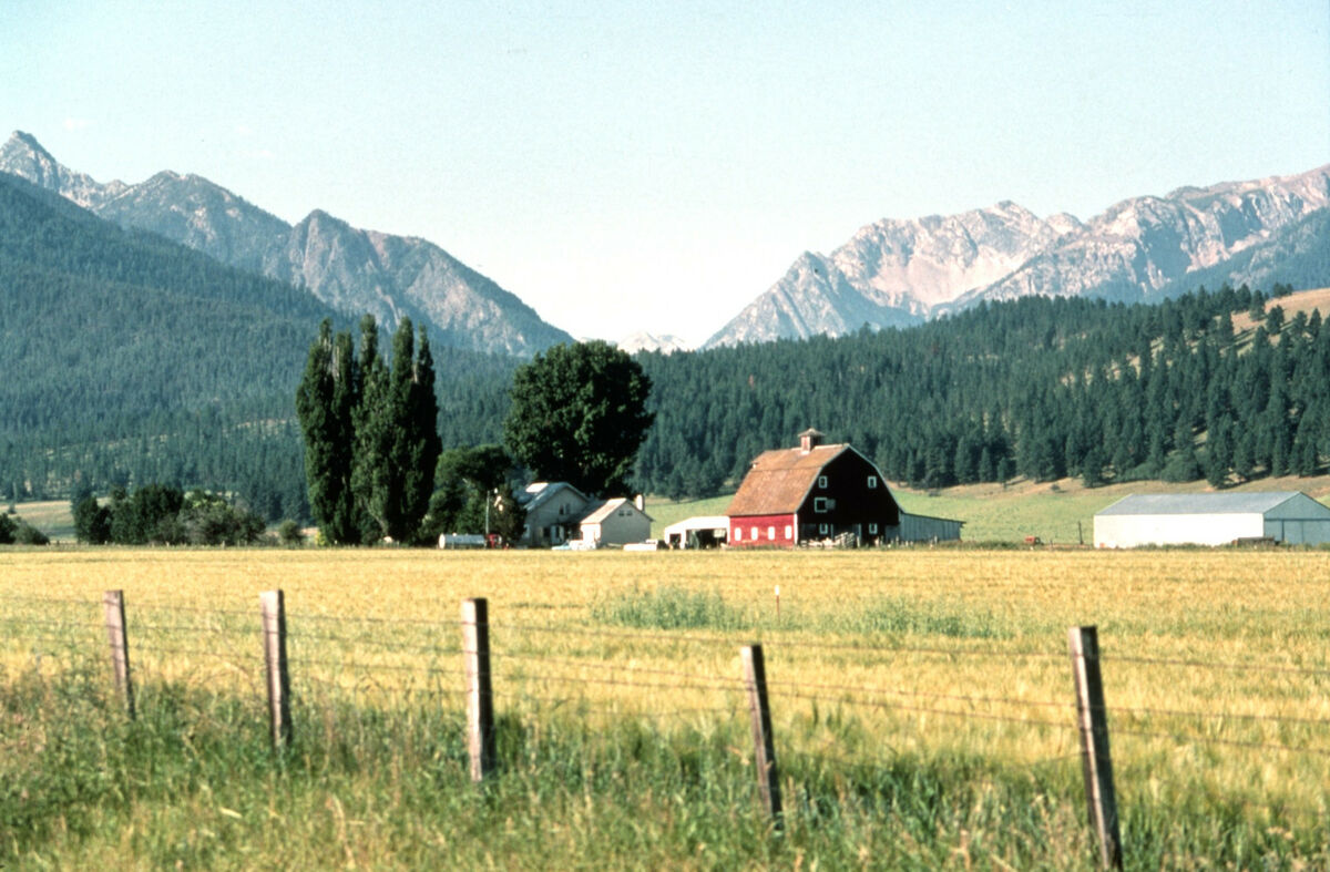 A historic barn on the Hutchinson place on Prairie Creek, the first homestead granted in Wallowa County. Taken by Janie Tippett.