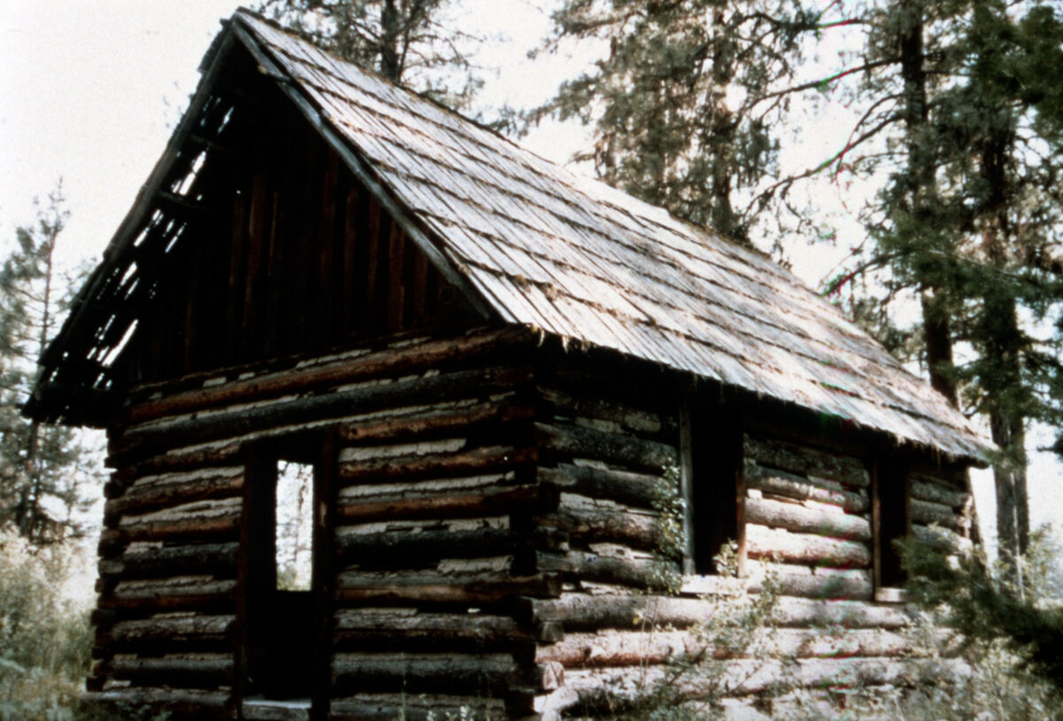This old homestead cabin shows the way settlers chinked with moss and covered the roof in hand-hewn shakes. Taken by Cressie Green.