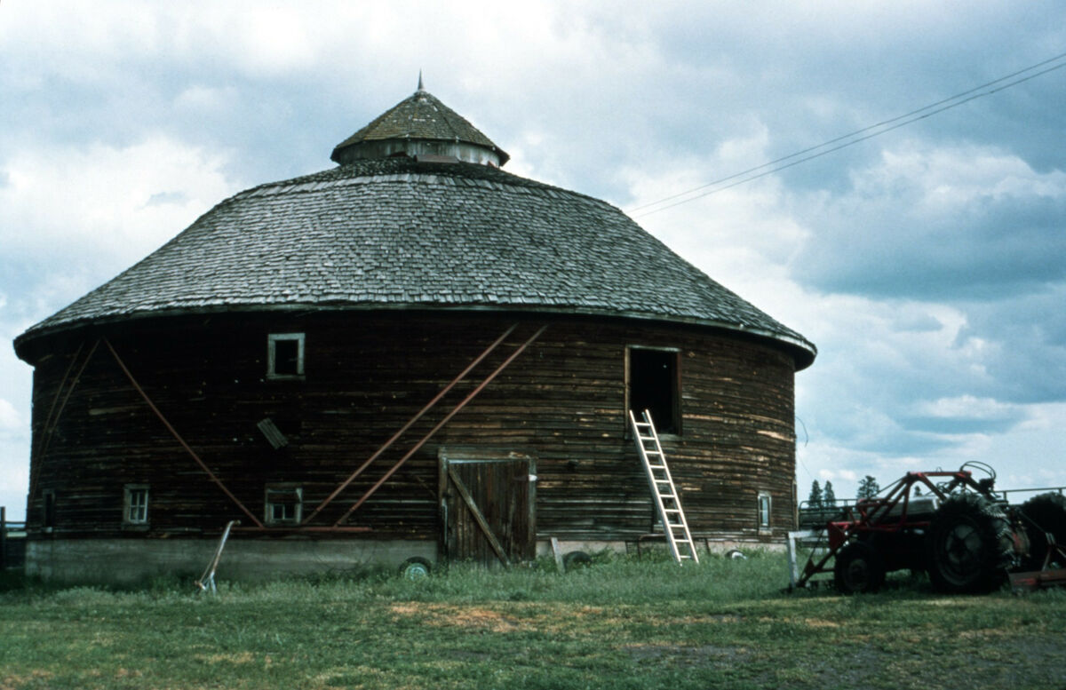 Alphon Courtney’s “Round Barn,” a dairy barn built on Warnock Road just outside of Lostine, circa 1925. According to Janie Tippett, “Inside, all nicely laid out, was the milking parlor, which could accommodate 24 milk cows, with stantions and gutter going around in circular fashion. The north side of the barn housed the work horses and the stalls were there. The separator room was located on the eastern side. Here the milk was separated into skim ilk an cream. The silo, being in the center, held the silage that was fed to the cows. There was also a hayloft upstairs.” Taken by Janie Tippett.