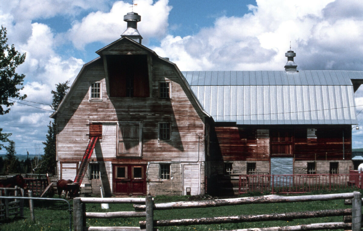 The Wilson Barn on Wilson Lane, an example of a modern dairy barn at the time of its construction, is still standing in 2022. Taken by Janie Tippett.