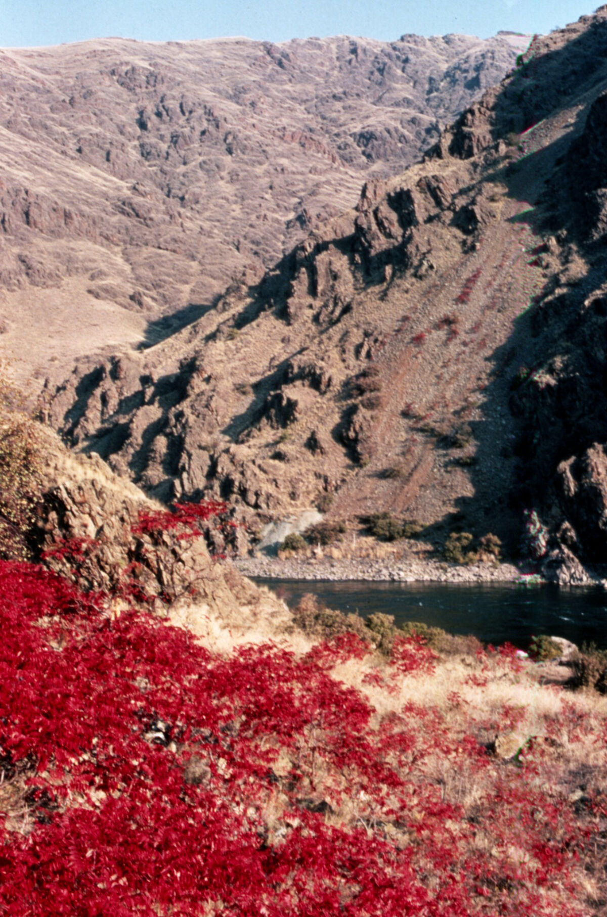 Photo taken upstream from Dug Bar on the Snake River, not far from the site of the Deep Creek massacre of Chinese miners. This is a cropped version of slide 261. Taken by Janie Tippett.