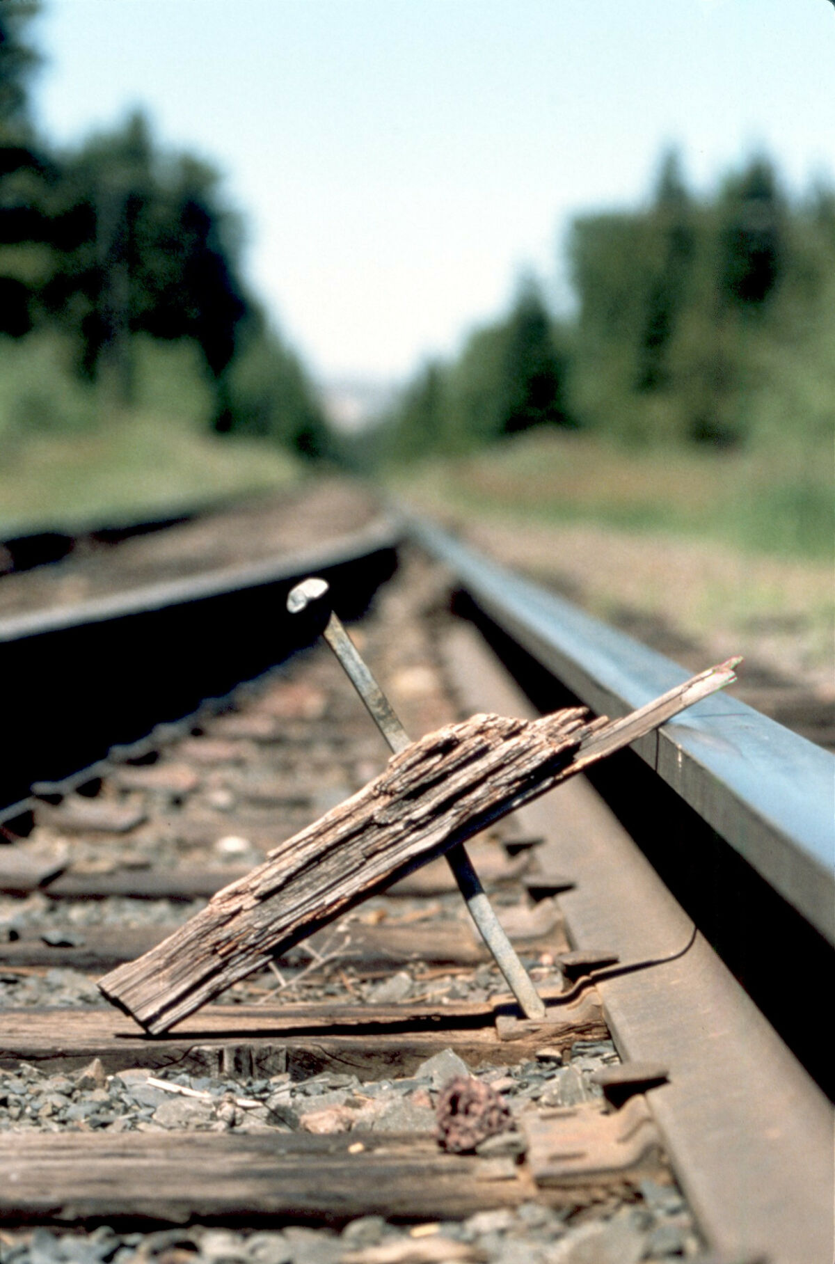 Railroad spike symbolizing the end of railroad logging in the Wallowa country. Taken by Steve Roundy.