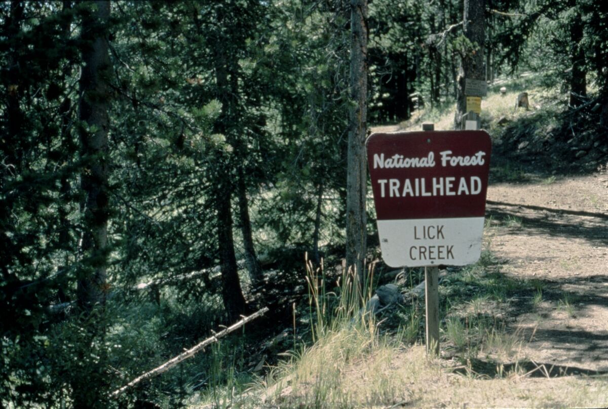The Lick Creek trailhead sign in the Wallowa-Whitman National Forest. Taken by Janie Tippett.